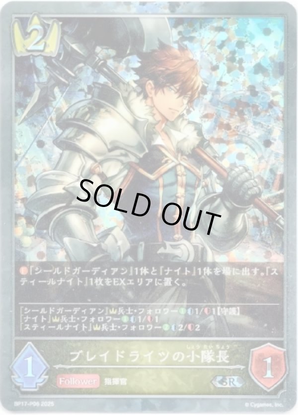 画像1: 【プレミアム】ブレイドライツの小隊長 (1)