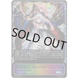 画像: ※傷有り品（返品交換対象外）【スーパーレジェンド】母なる慈愛