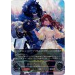 画像1: ※傷有り品（返品交換対象外）【アルティメット】【EVOLVE】粛清の器・メイシア (1)