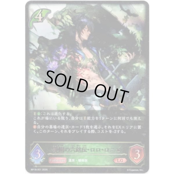 画像1: ※傷有り品（返品交換対象外）浄樹の六銘伝・ロロ・ロニエ (1)