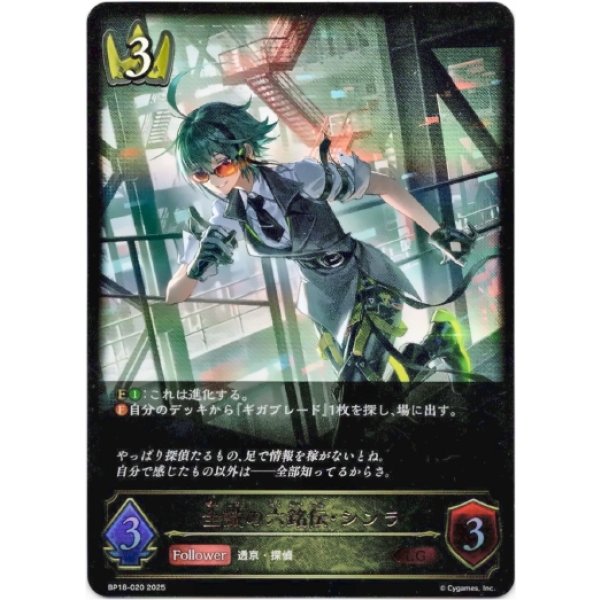 画像1: ※傷有り品（返品交換対象外）全識の六銘伝・シンラ (1)