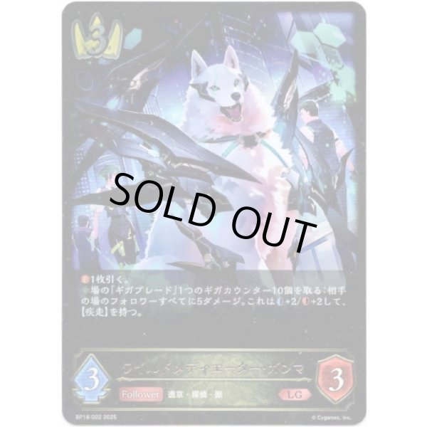 画像1: ※傷有り品（返品交換対象外）ワイルドメディエーター・ガンマ (1)