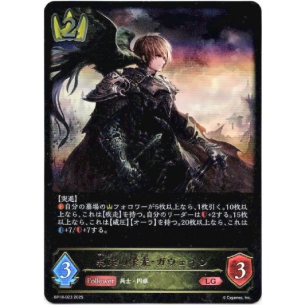 画像1: ※傷有り品（返品交換対象外）約束の栄光・ガウェイン (1)