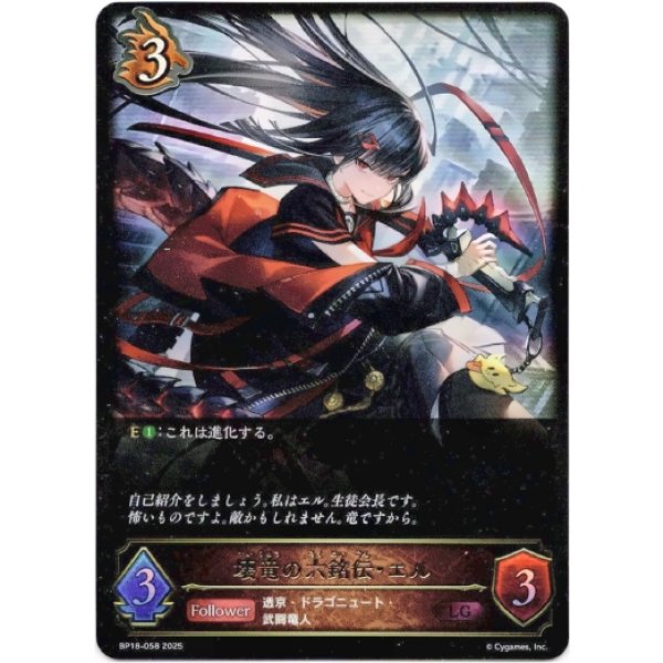 画像1: ※傷有り品（返品交換対象外）壊竜の六銘伝・エル (1)