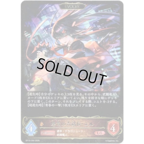 画像1: ※傷有り品（返品交換対象外）【EVOLVE】壊竜の六銘伝・エル (1)