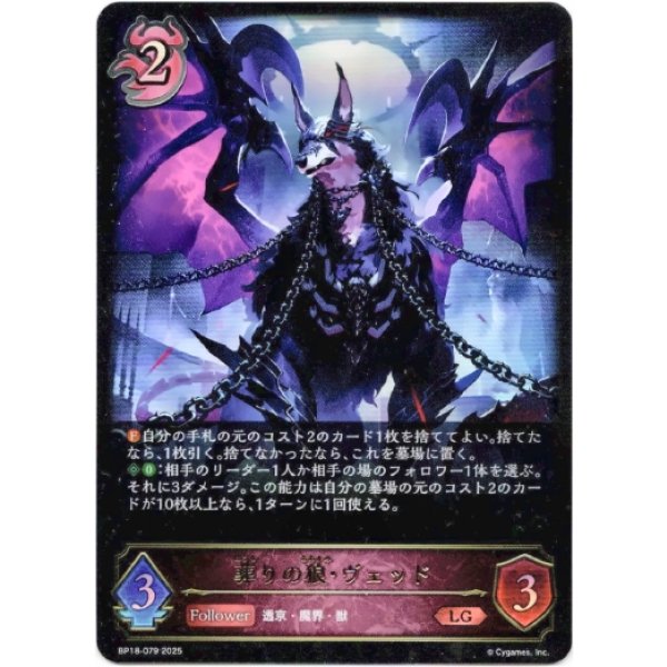 画像1: ※傷有り品（返品交換対象外）葬りの狼・ヴェッド (1)