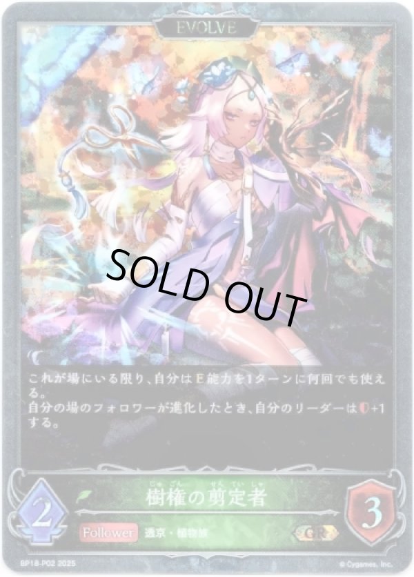 画像1: 【プレミアム】【EVOLVE】樹権の剪定者 (1)