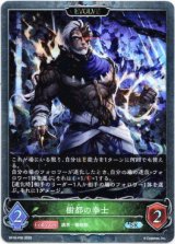画像: 【プレミアム】【EVOLVE】樹都の拳士