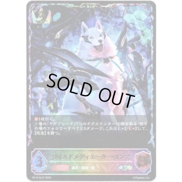 画像1: ※傷有り品（返品交換対象外）【スーパーレジェンド】ワイルドメディエーター・ガンマ (1)