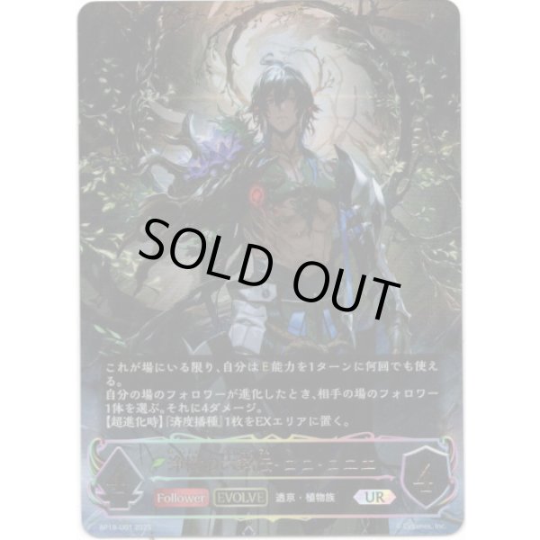 画像1: ※傷有り品（返品交換対象外）【アルティメット】【EVOLVE】浄樹の六銘伝・ロロ・ロニエ (1)