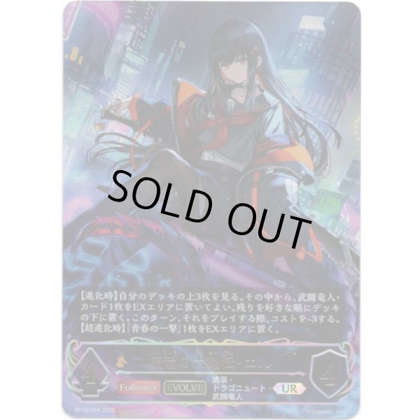 画像1: ※傷有り品（返品交換対象外）【アルティメット】【EVOLVE】壊竜の六銘伝・エル (1)