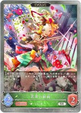 画像: 【EVOLVE】若芽の組員