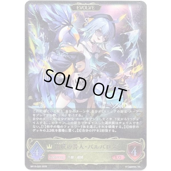 画像1: ※傷有り品（返品交換対象外）【EVOLVE】出航の咎人・バルバロス (1)