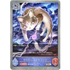 画像: ライトニングキャット