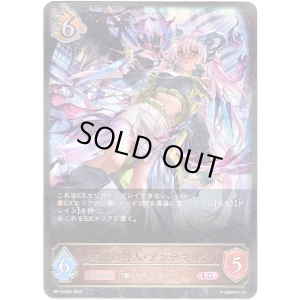 画像1: ※傷有り品（返品交換対象外）遊猟の咎人・アンテマリア (1)