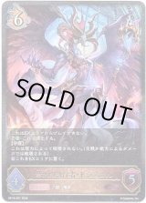 画像: ※傷有り品（返品交換対象外）禁牙の執行者・ドラズエル