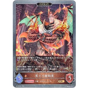 画像: 【EVOLVE】焦土の無頼漢