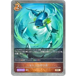 画像: オルカの呼び声