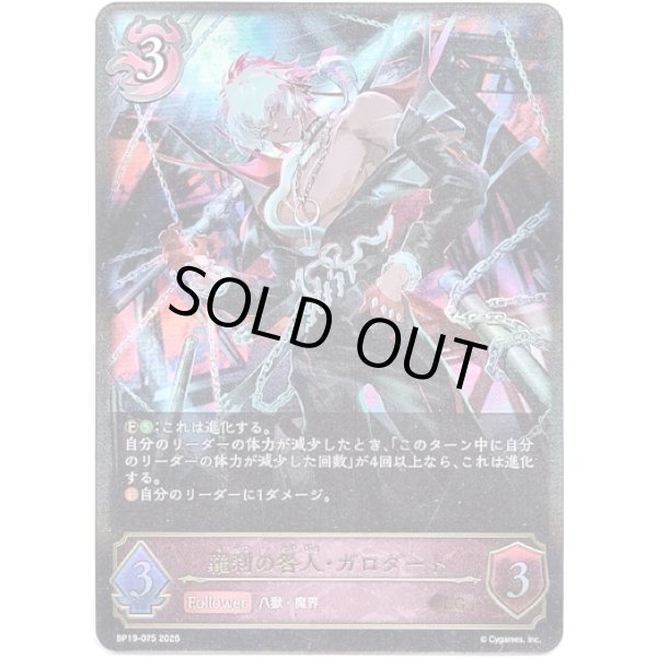 画像1: ※傷有り品（返品交換対象外）羅刹の咎人・ガロダート (1)