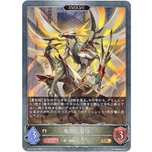 画像: 【EVOLVE】飛翔の看守