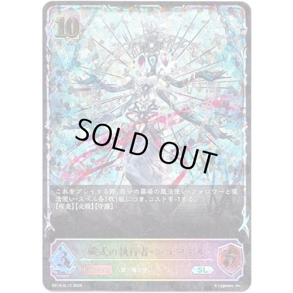 画像1: ※傷有り品（返品交換対象外）【スーパーレジェンド】破式の執行者・シュマエル (1)