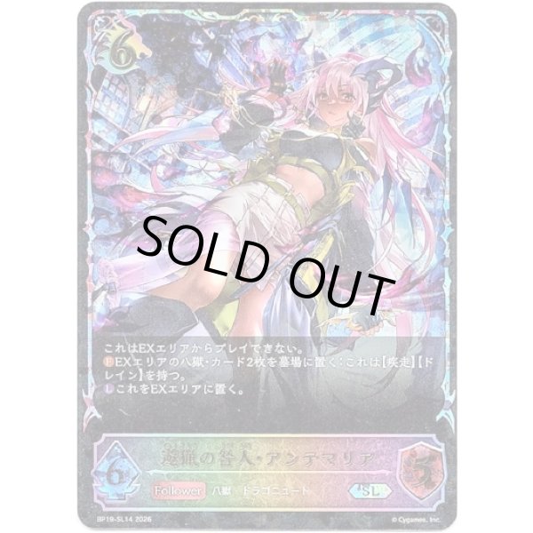 画像1: ※傷有り品（返品交換対象外）【スーパーレジェンド】遊猟の咎人・アンテマリア (1)