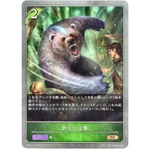 画像: 野生の猛襲