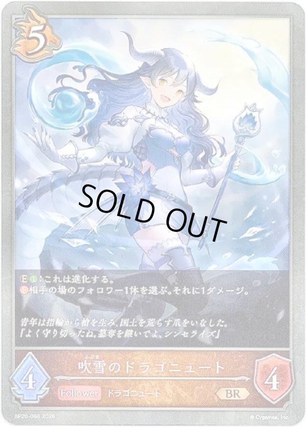画像1: 吹雪のドラゴニュート (1)
