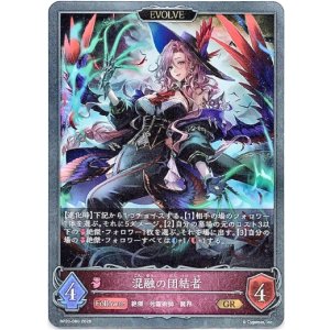 画像: 【EVOLVE】混融の団結者