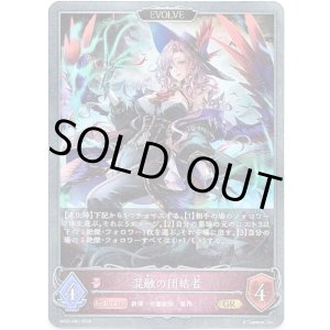 画像: 【EVOLVE】混融の団結者