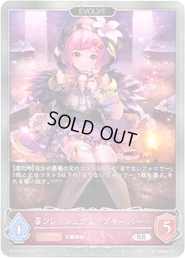 画像1: 【EVOLVE】フレッシュグレイブキーパー (1)