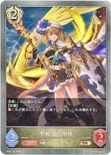 画像: 聖騎士の団員