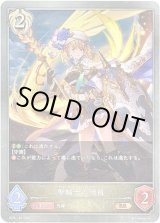 画像: 聖騎士の団員