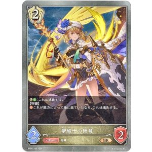 画像: 聖騎士の団員