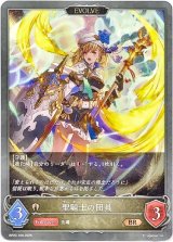 画像: 【EVOLVE】聖騎士の団員