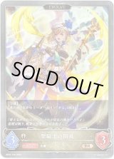 画像: 【EVOLVE】聖騎士の団員