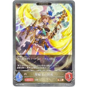 画像: 【EVOLVE】聖騎士の団員