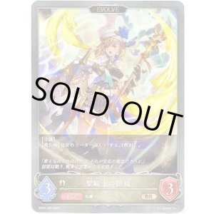 画像: 【EVOLVE】聖騎士の団員