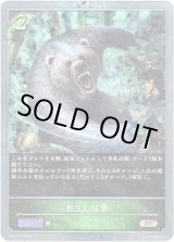 画像: 【プレミアム】野生の猛襲