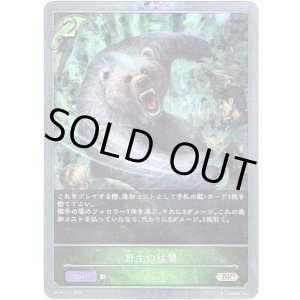 画像: 【プレミアム】野生の猛襲