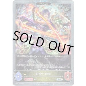 画像: 【プレミアム】【EVOLVE】剣聖の同胞