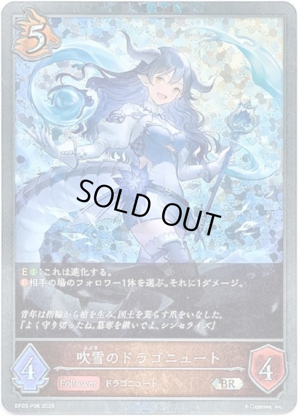 画像1: 【プレミアム】吹雪のドラゴニュート (1)