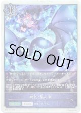 画像: 【プレミアム】新約・黒の章