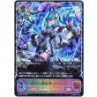 画像1: ※傷有り品（返品交換対象外）【スーパーレジェンド】破壊の継承者・アクシア (1)