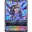 画像1: ※傷有り品（返品交換対象外）【スーパーレジェンド】【EVOLVE】絶尽の顕現・ライオ (1)