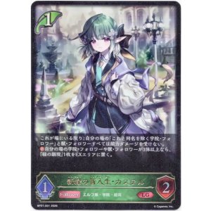 画像: ※傷有り品（返品交換対象外）新緑の新入生・カステル
