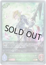 画像: フォレストシバルリー・シンシア