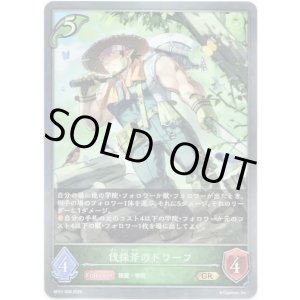 画像: 伐採斧のドワーフ