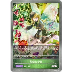 画像: 妖精の学習