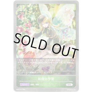 画像: 妖精の学習